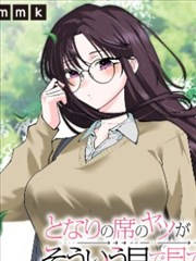 条目图鉴卡片：长夏手札的分类占位封面
