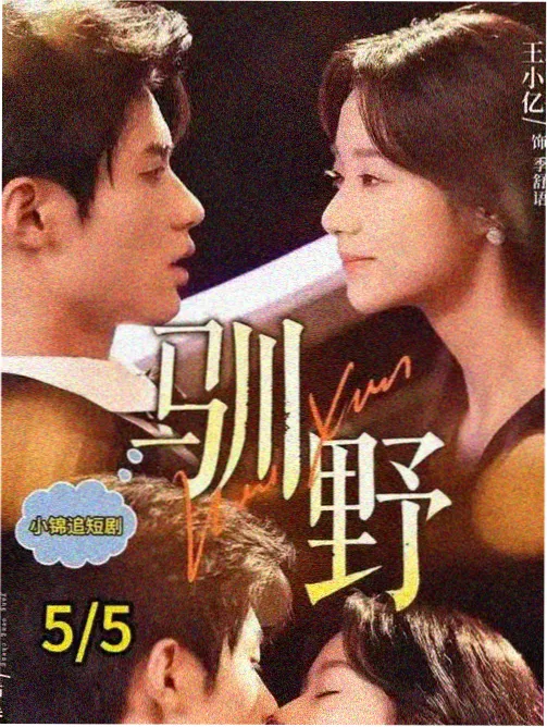 条目图鉴卡片：灯下夜市的分类占位封面